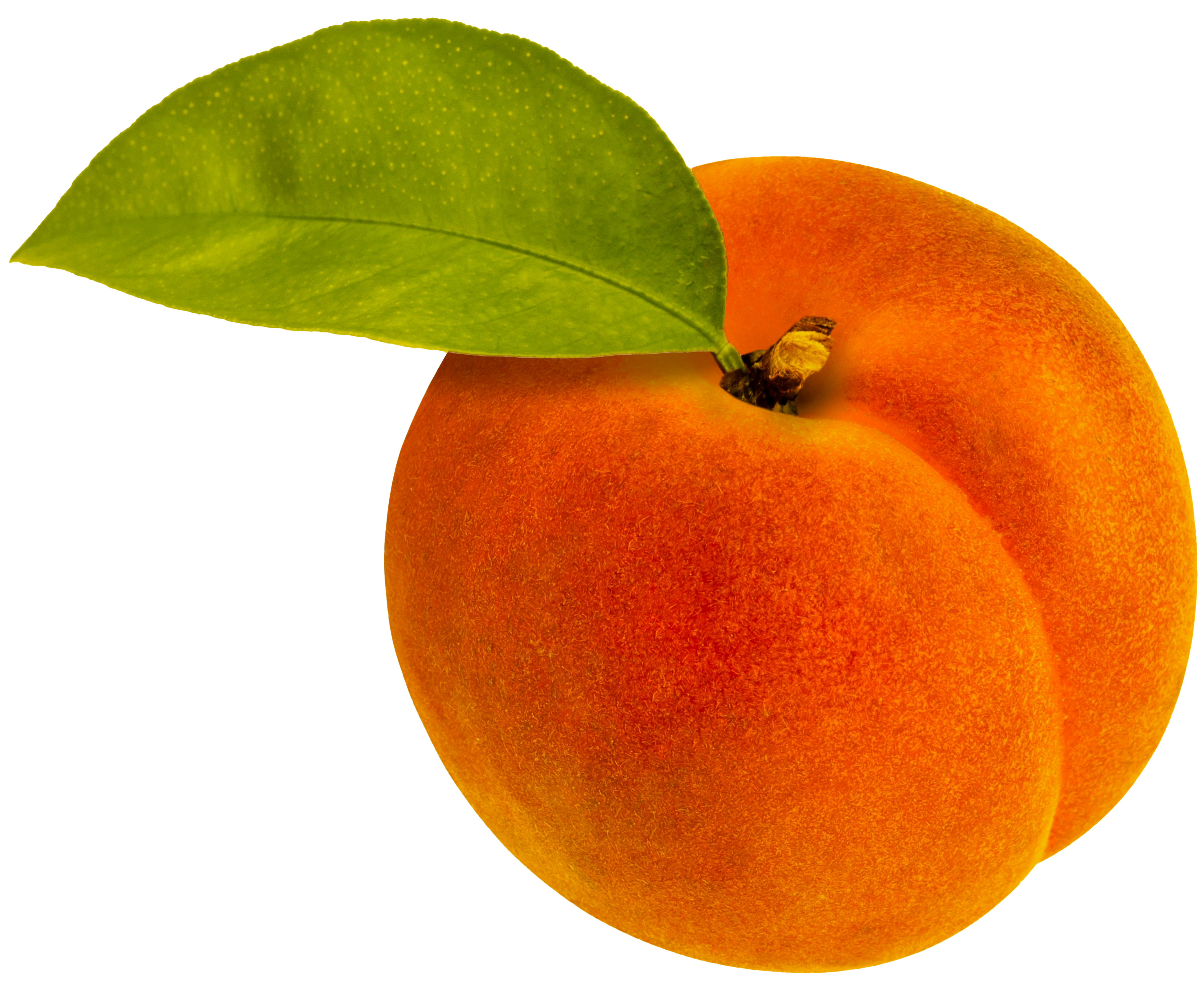 Golden Peach